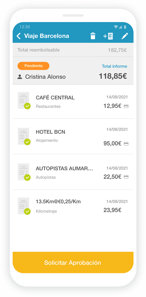 Reporte de notas de gasto