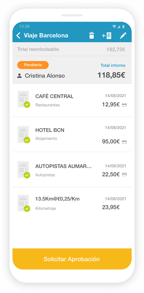 Reporte de notas de gasto